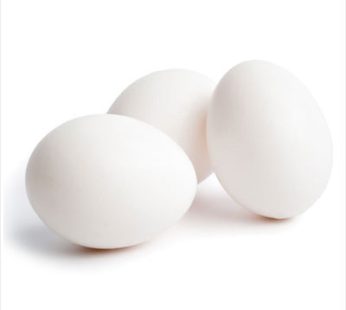 Egg